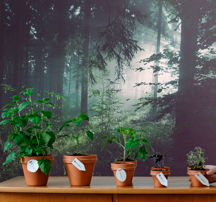 深い薄緑の森の壁の壁画 - TENSTICKERS