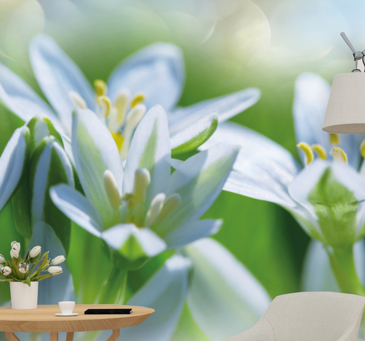 花 柄 壁画 優しい白い花々 - TENSTICKERS