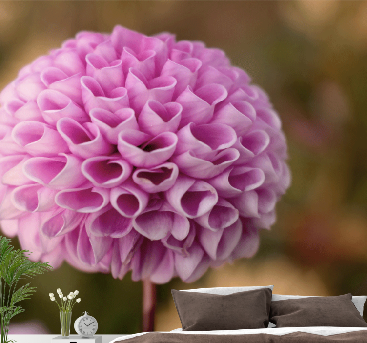 花 柄 壁画 ピンクフローラルスフィア - TENSTICKERS