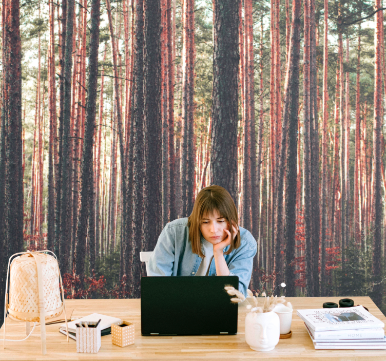 森の壁の壁画静かな松の森 - TENSTICKERS