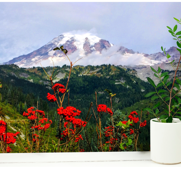 風景壁壁画雪に覆われた山 - TENSTICKERS