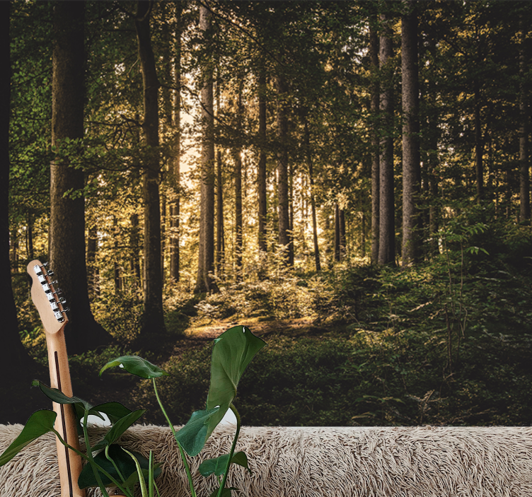 正午の森の自然の壁の壁画 - TENSTICKERS