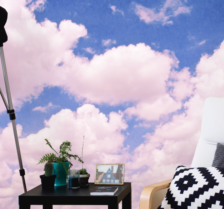 雲とピンクの空自然壁壁画 - TENSTICKERS