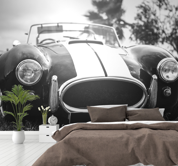 ヴィンテージのレースカーの写真の壁紙 - TENSTICKERS