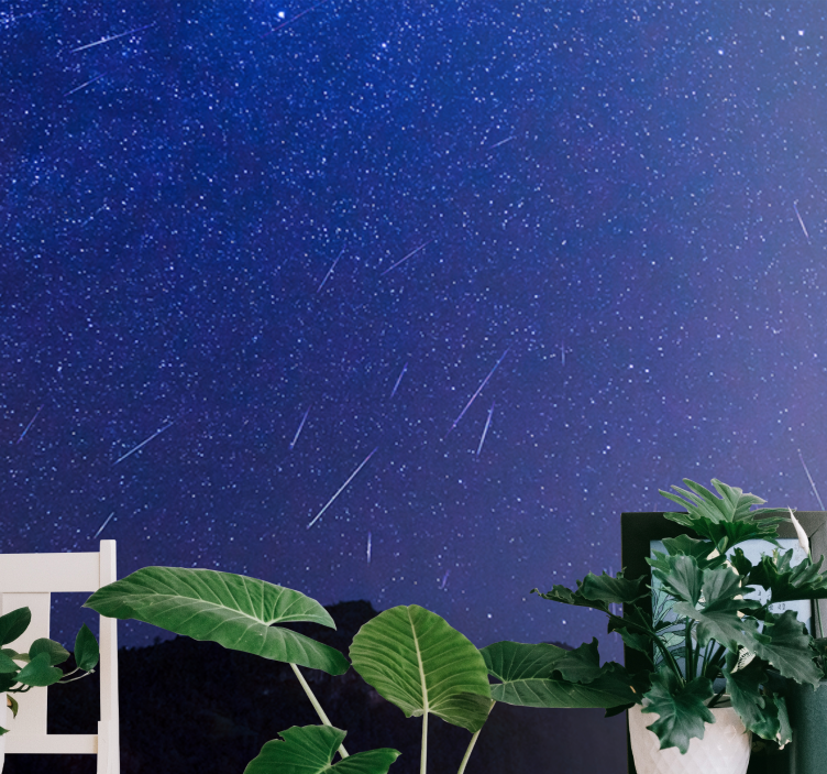 山 壁画 天の彗星の夜 - TENSTICKERS