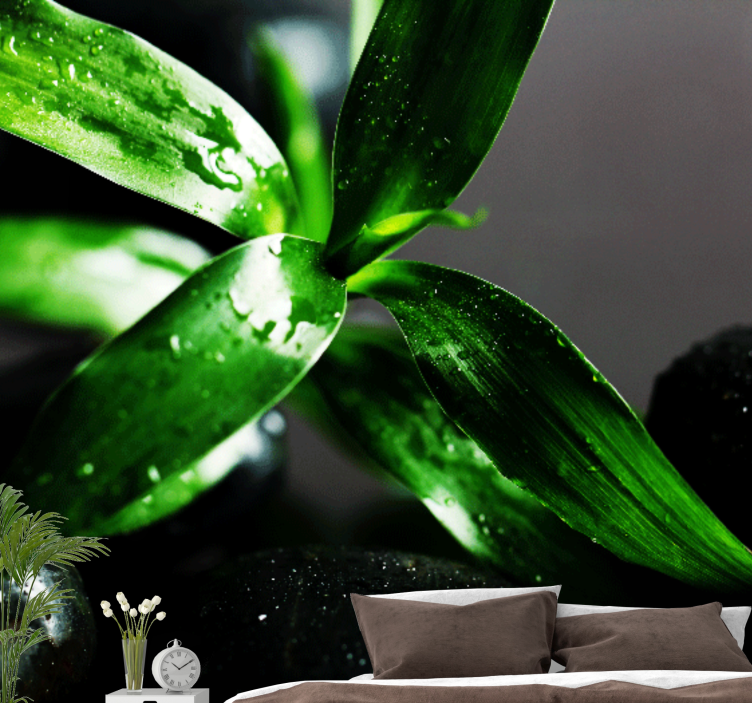 自然 壁画 新鮮な葉のテクスチャ - TENSTICKERS