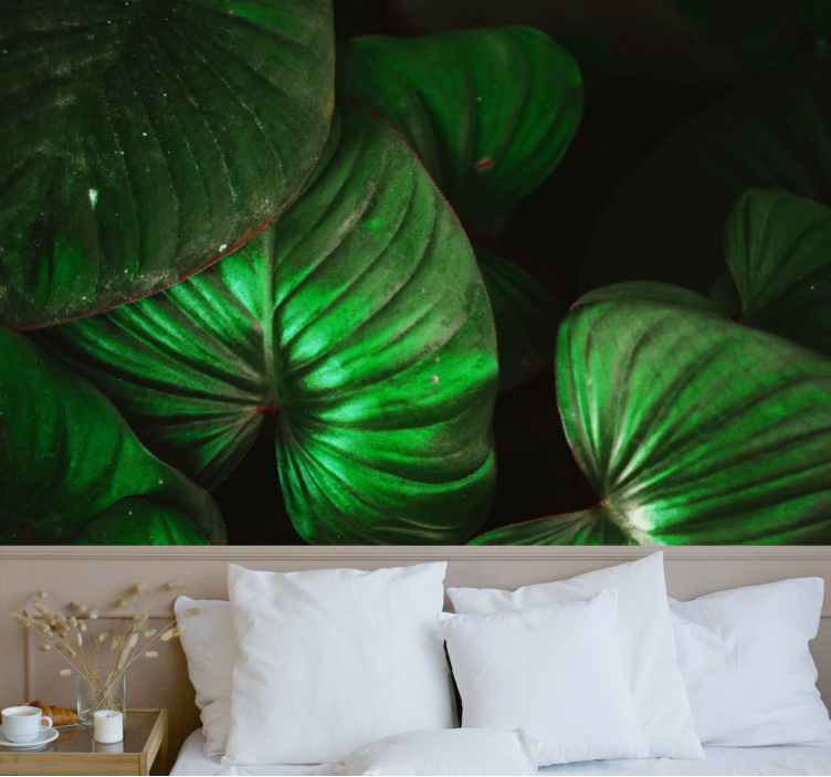 自然 壁画 生き生きとした緑の葉 - TENSTICKERS