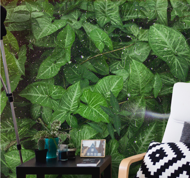 自然 壁画 鮮やかな葉の構成 - TENSTICKERS