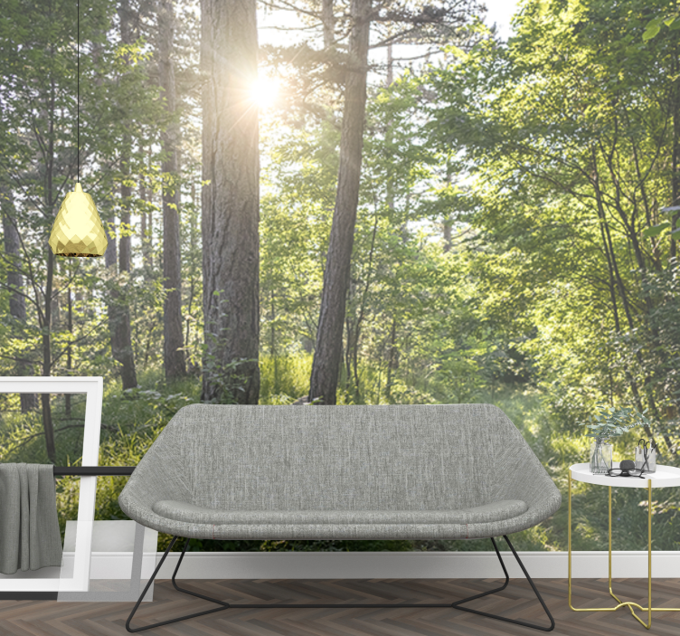 自然 壁画 輝く森の小道 - TENSTICKERS