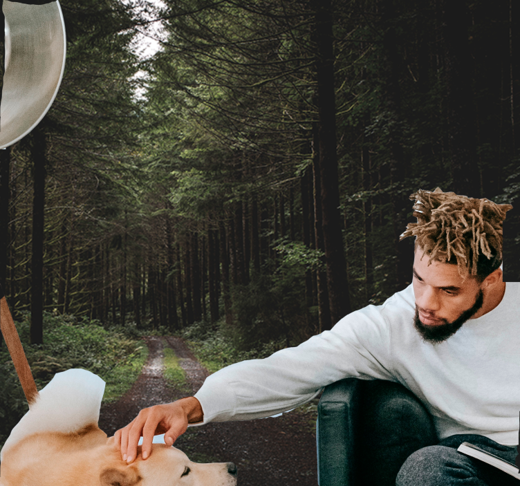 自然 壁画 緑豊かな森の小道 - TENSTICKERS