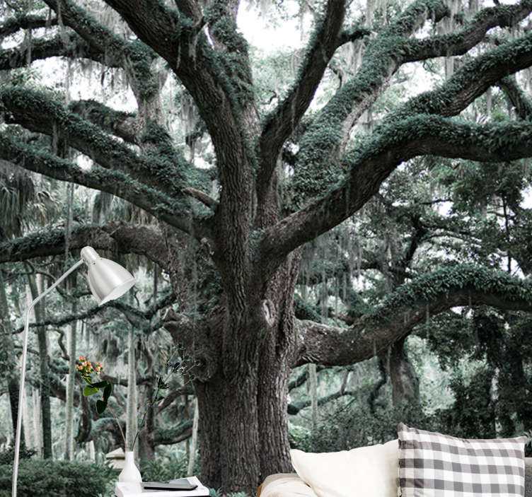 壁画 木 威厳あるオークの枝 - TENSTICKERS