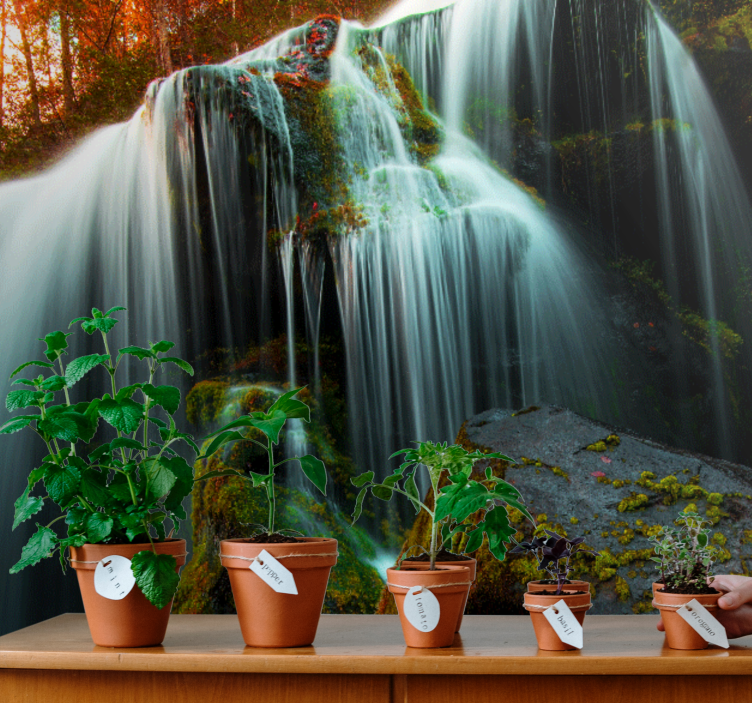 滝の壁の壁画穏やかな流れの水 - TENSTICKERS