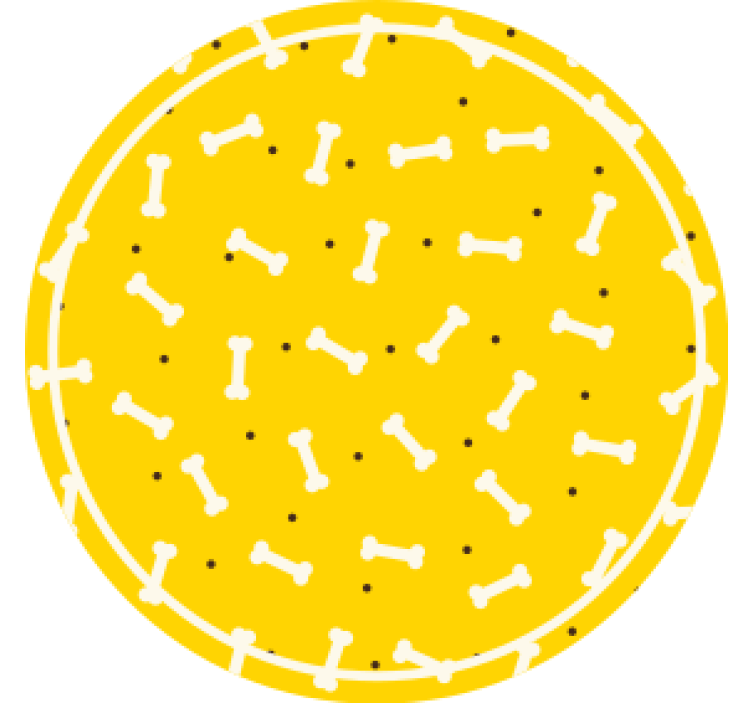 かわいい黄色の背景の犬の骨のモダンなコースター - TENSTICKERS