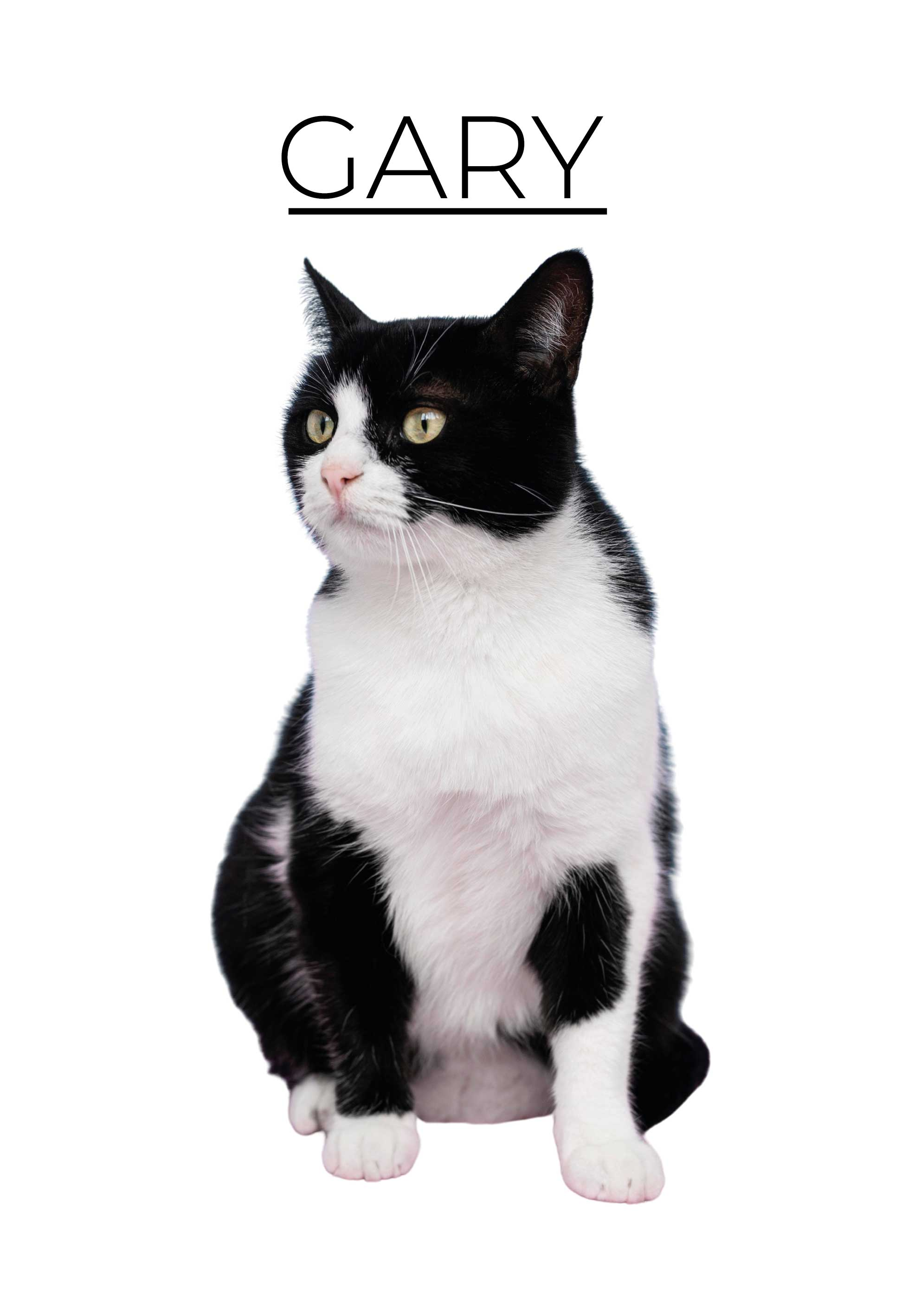 ポスター 他動物 パーソナライズされたミニマリスト - TENSTICKERS