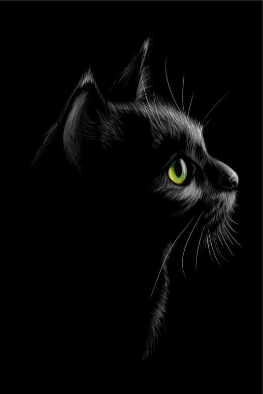 ポスター リビングルーム 緑の目の猫 - TENSTICKERS