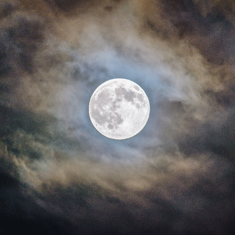 ポスター リビングルーム 満月の夜 - TENSTICKERS