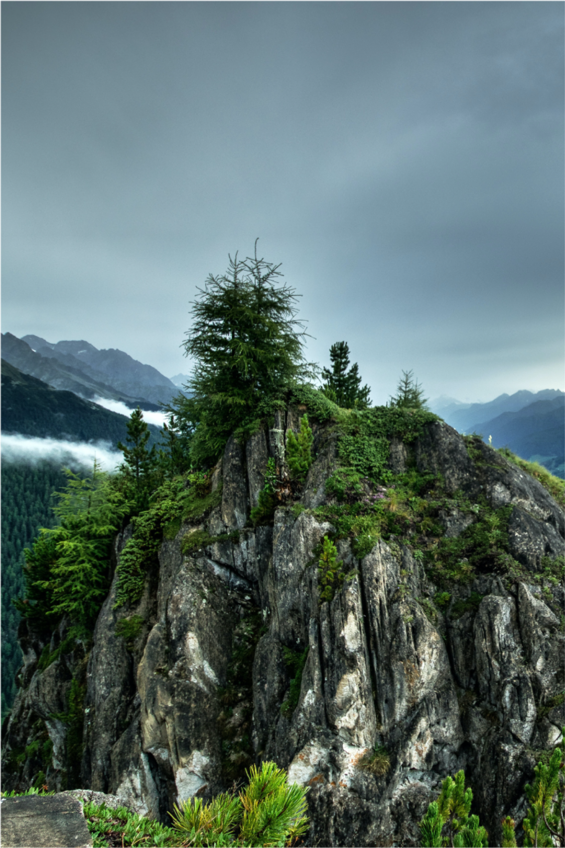 ポスター リビングルーム 緑の森の中の一つの岩 - TENSTICKERS