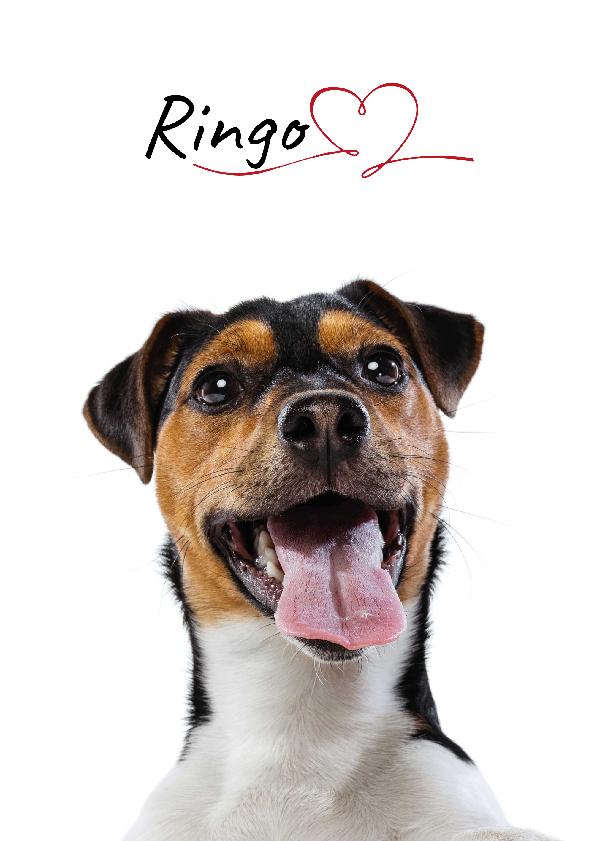 壁のカスタム犬の愛のポスター - TENSTICKERS