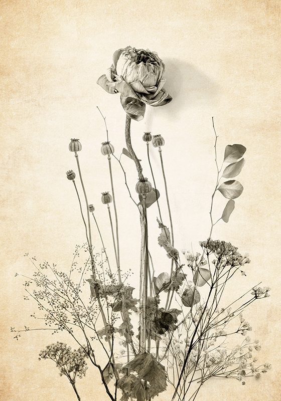 花 ポスター ベージュの背景に花の花束 - TENSTICKERS