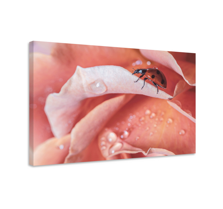 キャンバス 花や植物 バラの上のテントウムシ - TENSTICKERS