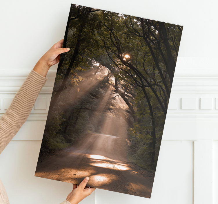 キャンバス 風景 日差しの木立の小道 - TENSTICKERS