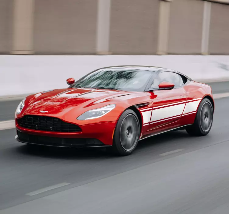 カスタムラリーカーのビニールステッカー - TENSTICKERS