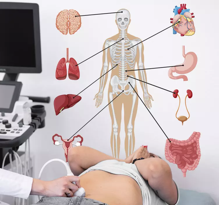 医療インフォグラフィック壁デカール - TENSTICKERS