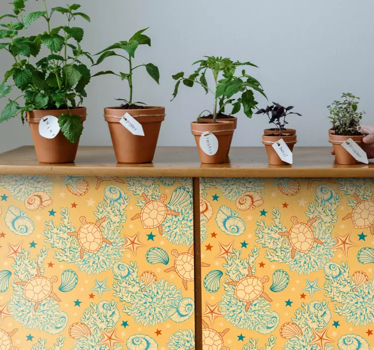 動物 シール サンゴと海の生き物 - TENSTICKERS