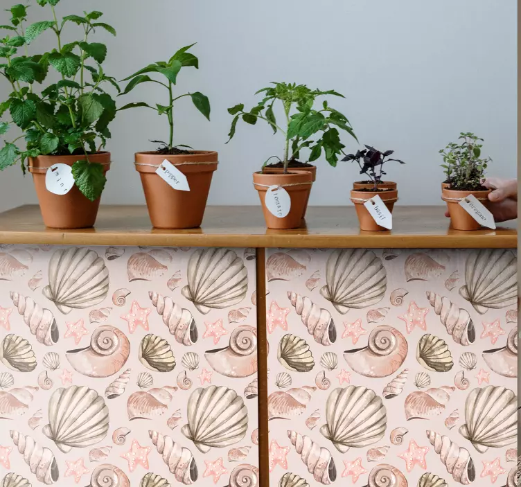 貝殻家具ステッカー - TENSTICKERS