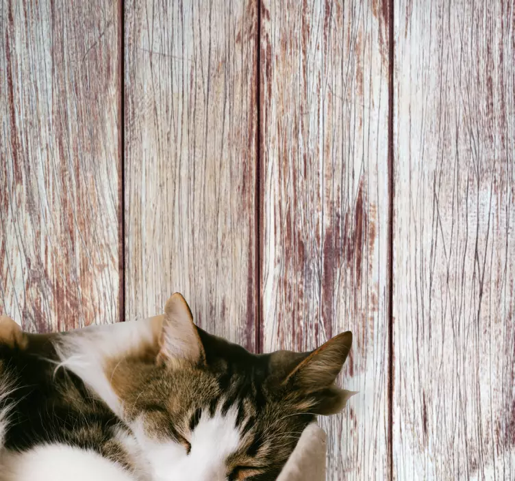 動物 シール グレーの木の板 - TENSTICKERS