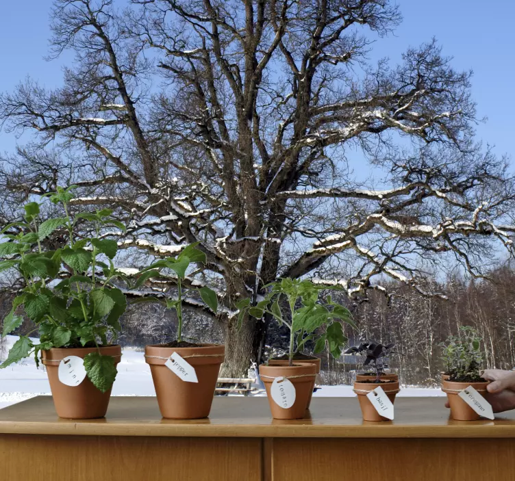 冬の木の壁の壁画 - TENSTICKERS