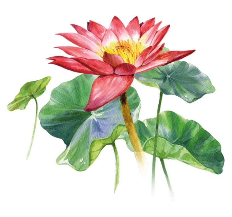 寝室 ビニールマット 蓮の水彩イリュージョン - TENSTICKERS