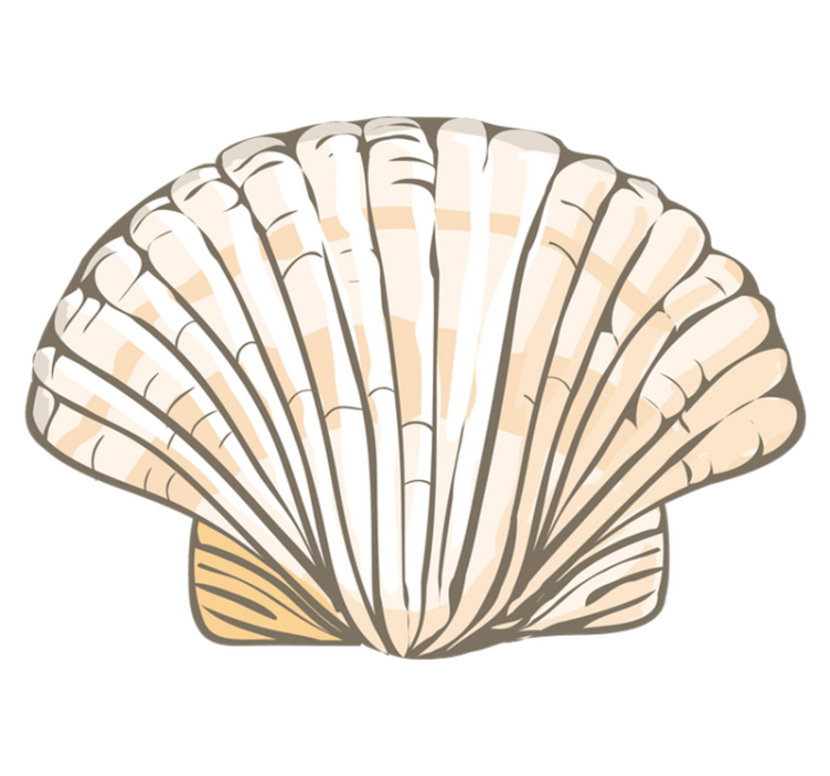 動物 ビニールマット 貝殻のイラスト - TENSTICKERS