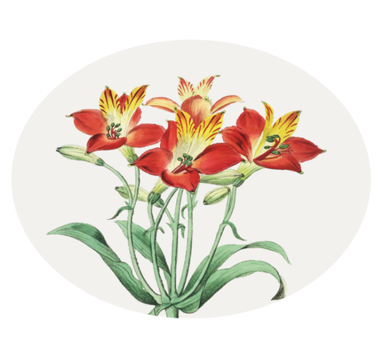 花と植物の壁画生き生きとした赤い花々 - TENSTICKERS