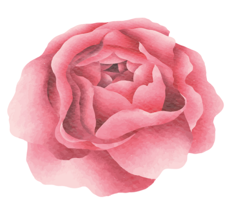 花と植物の壁画　淡いピンクの花々 - TENSTICKERS