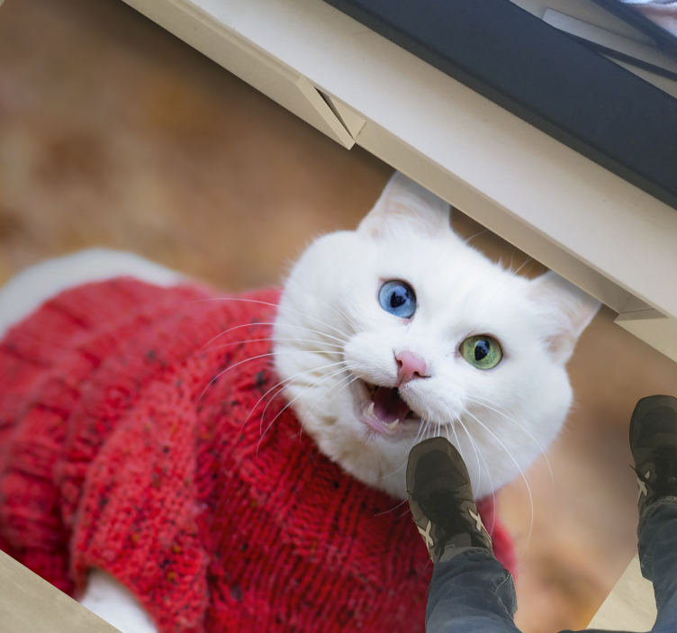 動物かわいい笑顔猫動物の敷物 - TENSTICKERS