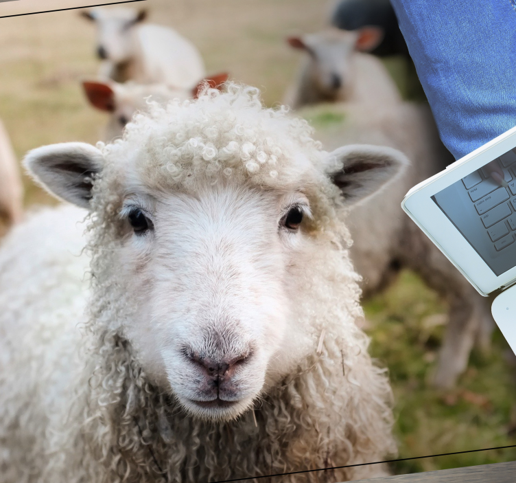 動物 ビニールマット カーリーシェパードフェイス - TENSTICKERS