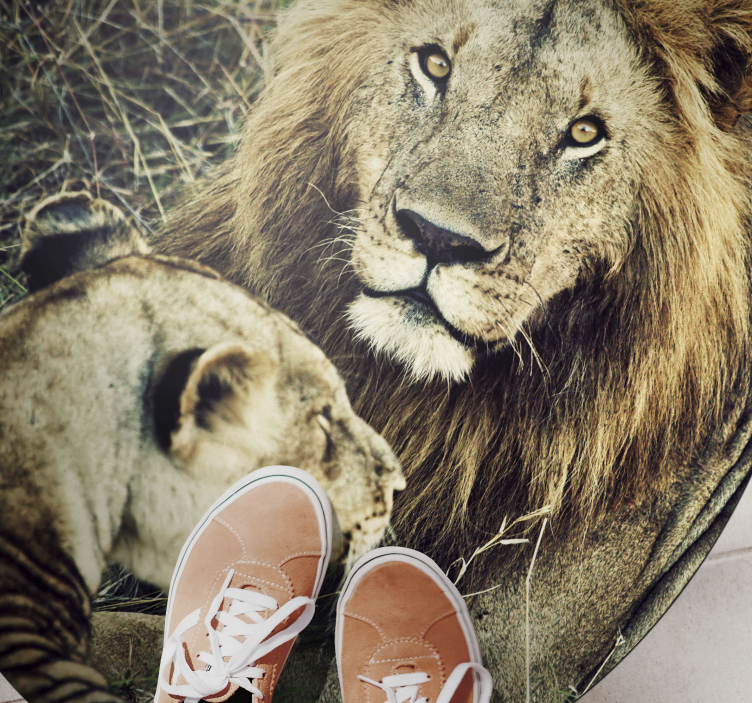 動物 ビニールマット 威風堂々なライオンのペア - TENSTICKERS