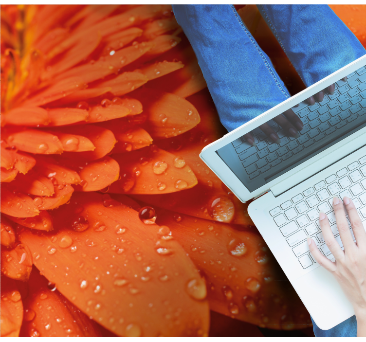 花と植物の壁画 明るいオレンジの花びら - TENSTICKERS