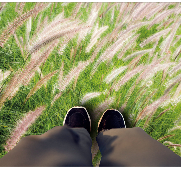 フォトミュラルネイチャー豊かな緑景 - TENSTICKERS