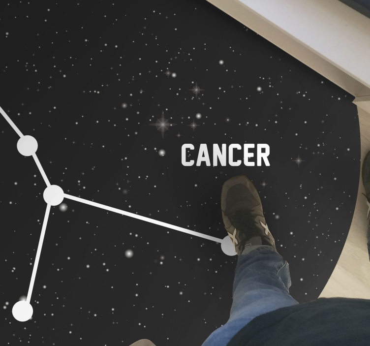 出演者 ビニールマット 天の星座 - TENSTICKERS