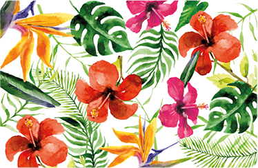 花と植物の壁画カラフルモンステラ - TENSTICKERS