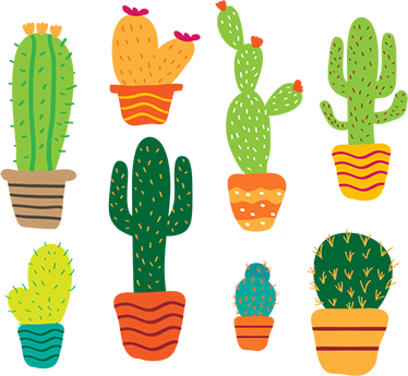 花と植物の壁画カラフルなサボテンパック - TENSTICKERS