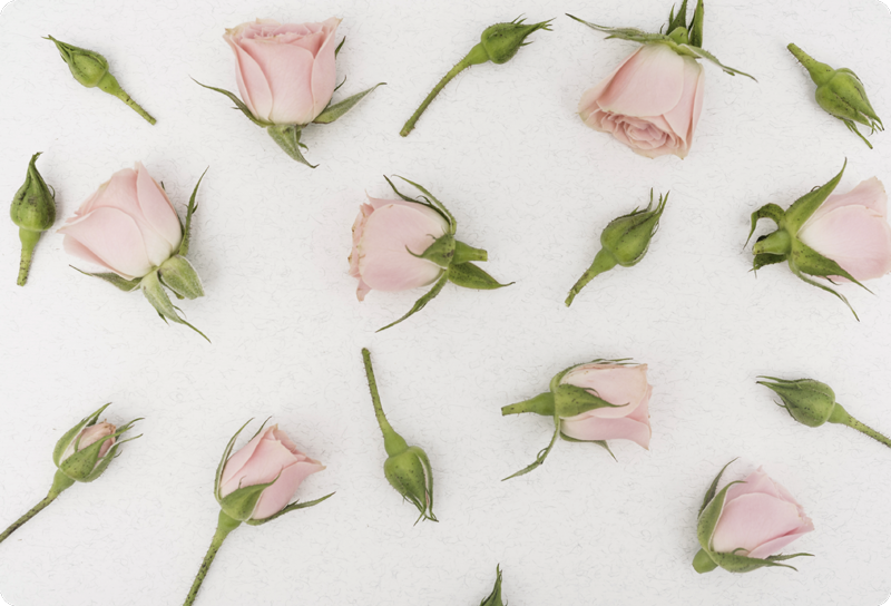 花と植物の壁画ロマンティックな春の花 - TENSTICKERS