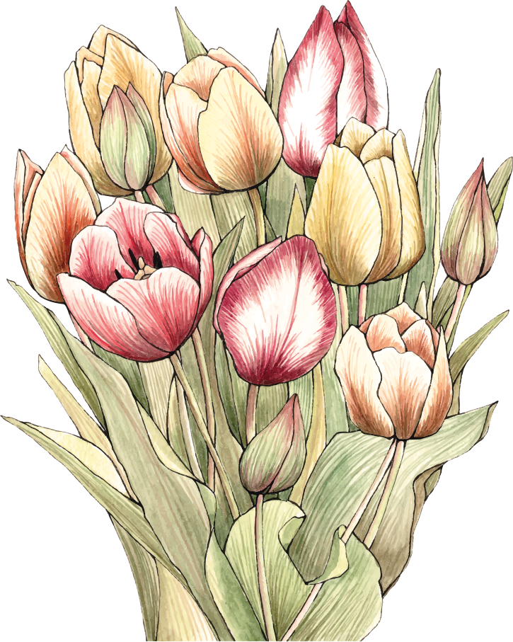 花と植物の壁画カラフルなチューリップの花束 - TENSTICKERS