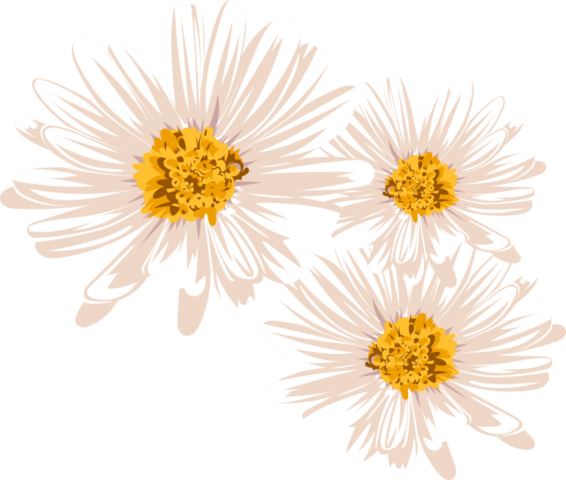 花と植物の壁画 魅力的なフラワーアレンジメント - TENSTICKERS