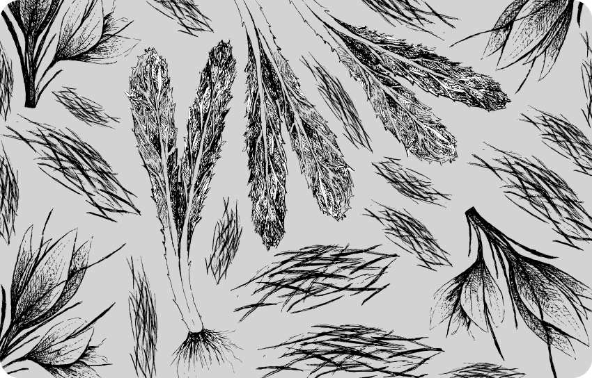 花と植物の壁画　乾燥したグレーのパターン - TENSTICKERS