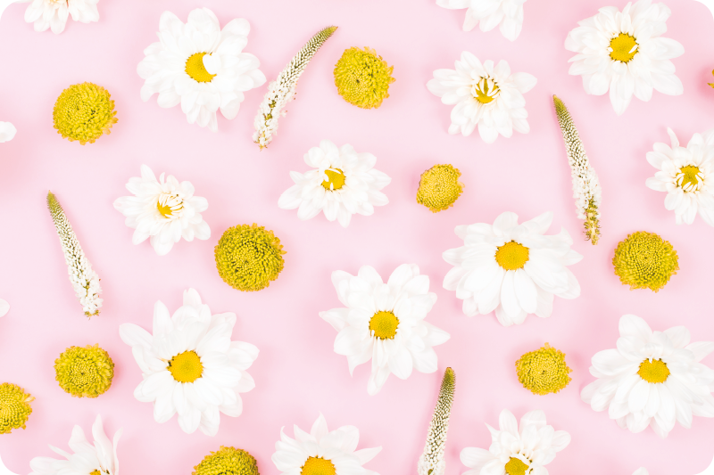 花と植物の壁画カラフルな花 - TENSTICKERS