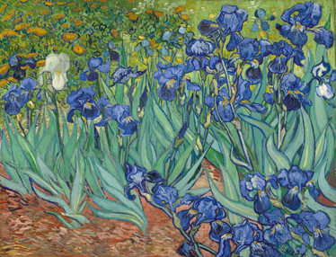 花と植物の壁画ヴァン・ゴッホの花 - TENSTICKERS