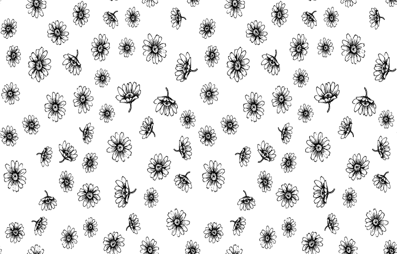 花と植物の壁画デイジーフラワーのセットアウトライン - TENSTICKERS
